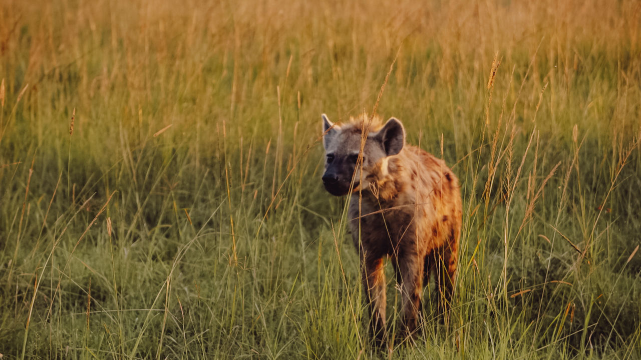 Reisspecialist Iris van Matoke Tours op studiereis in Kenia