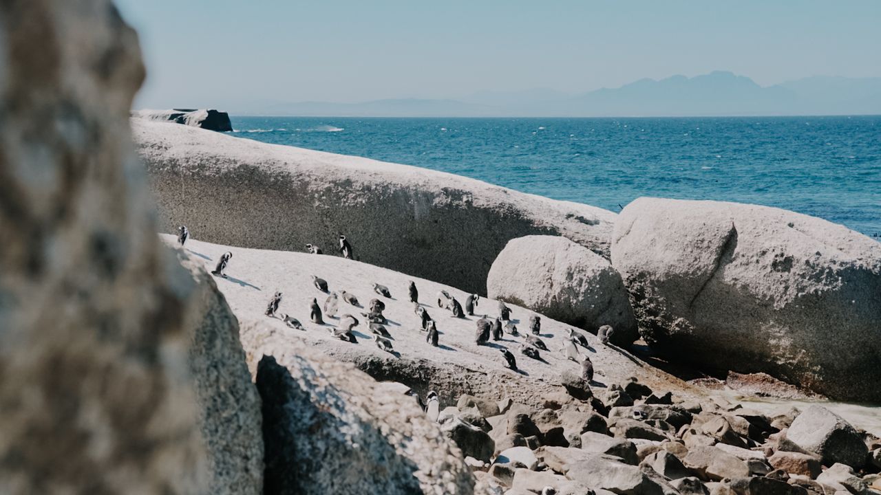 Reisspecialist Iris op studiereis in Zuid-Afrika en de Seychellen