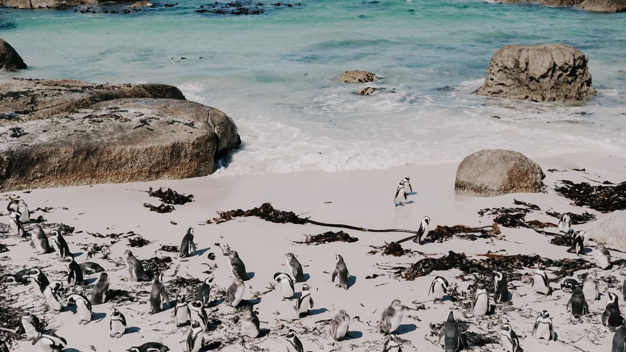Hoe kies je de beste rondreis door Zuid-Afrika? | Matoke Tours