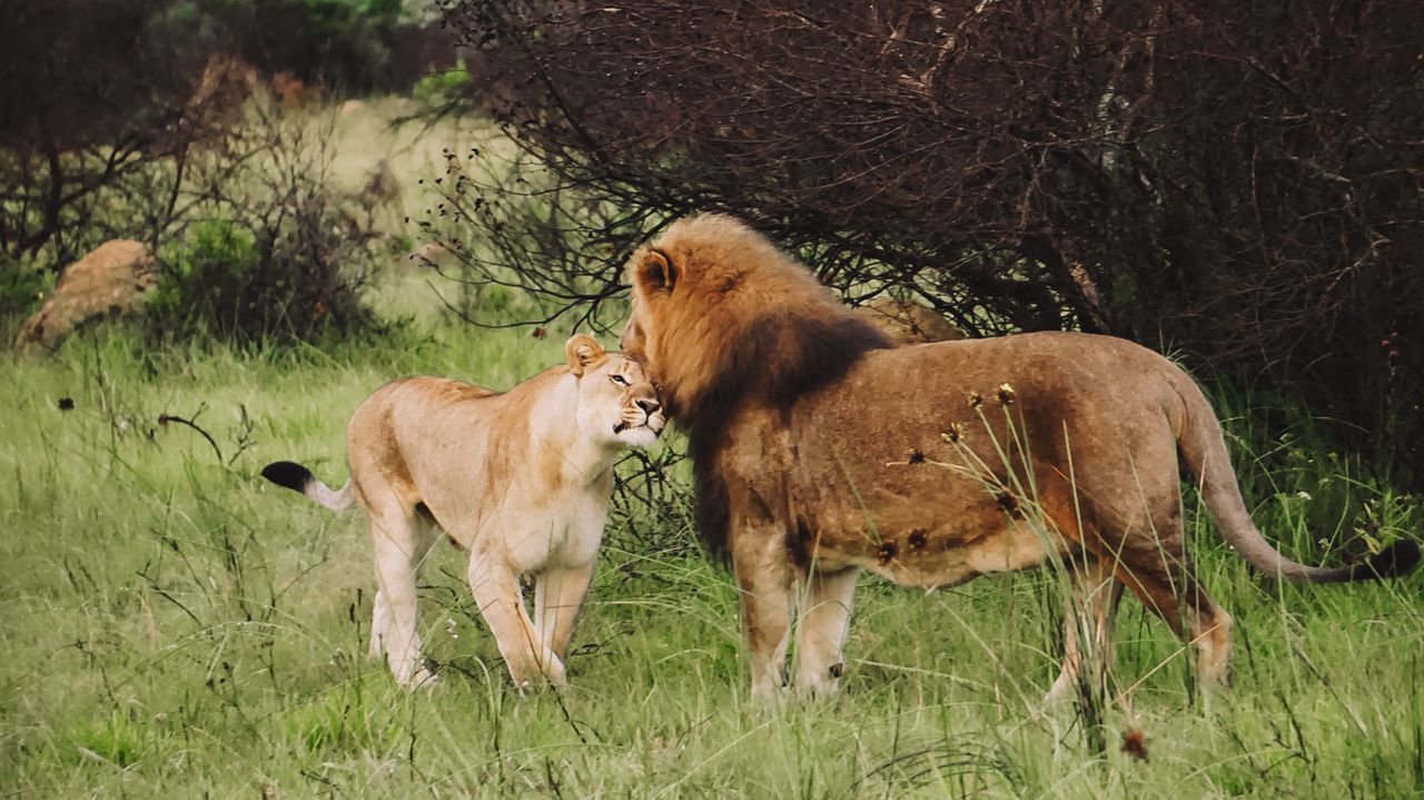 Reisspecialist Iris op studiereis in Zuid-Afrika en de Seychellen