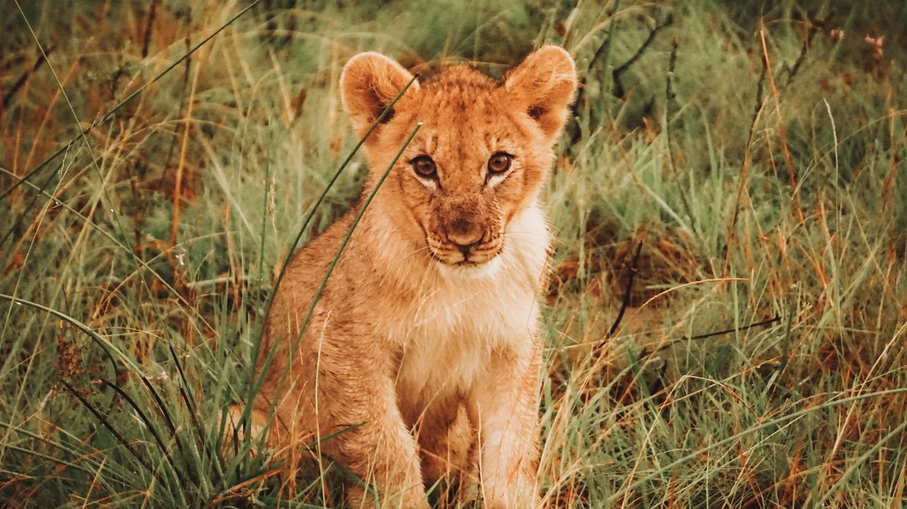 Reisspecialist Iris op studiereis in Zuid-Afrika en de Seychellen