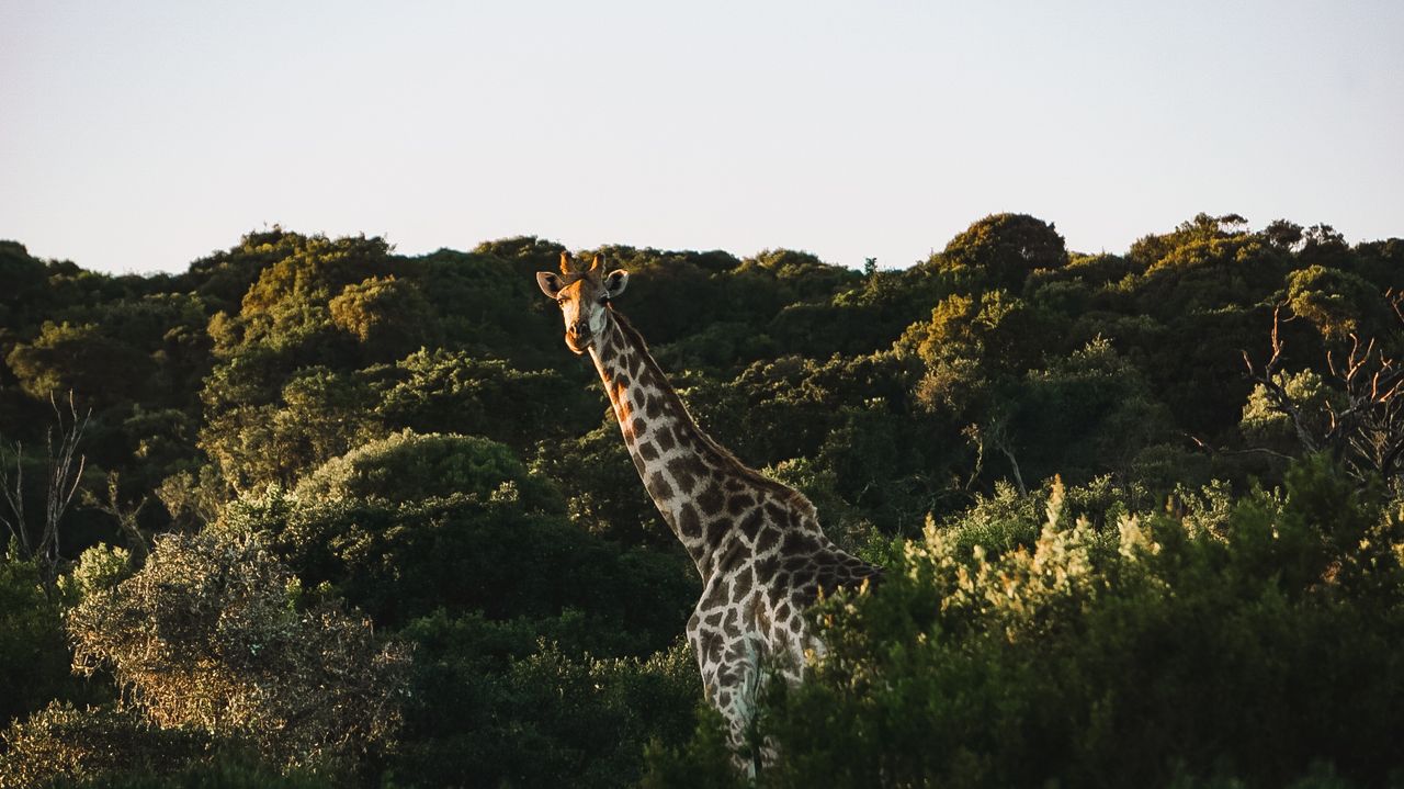 Reisspecialist Iris op studiereis in Zuid-Afrika en de Seychellen