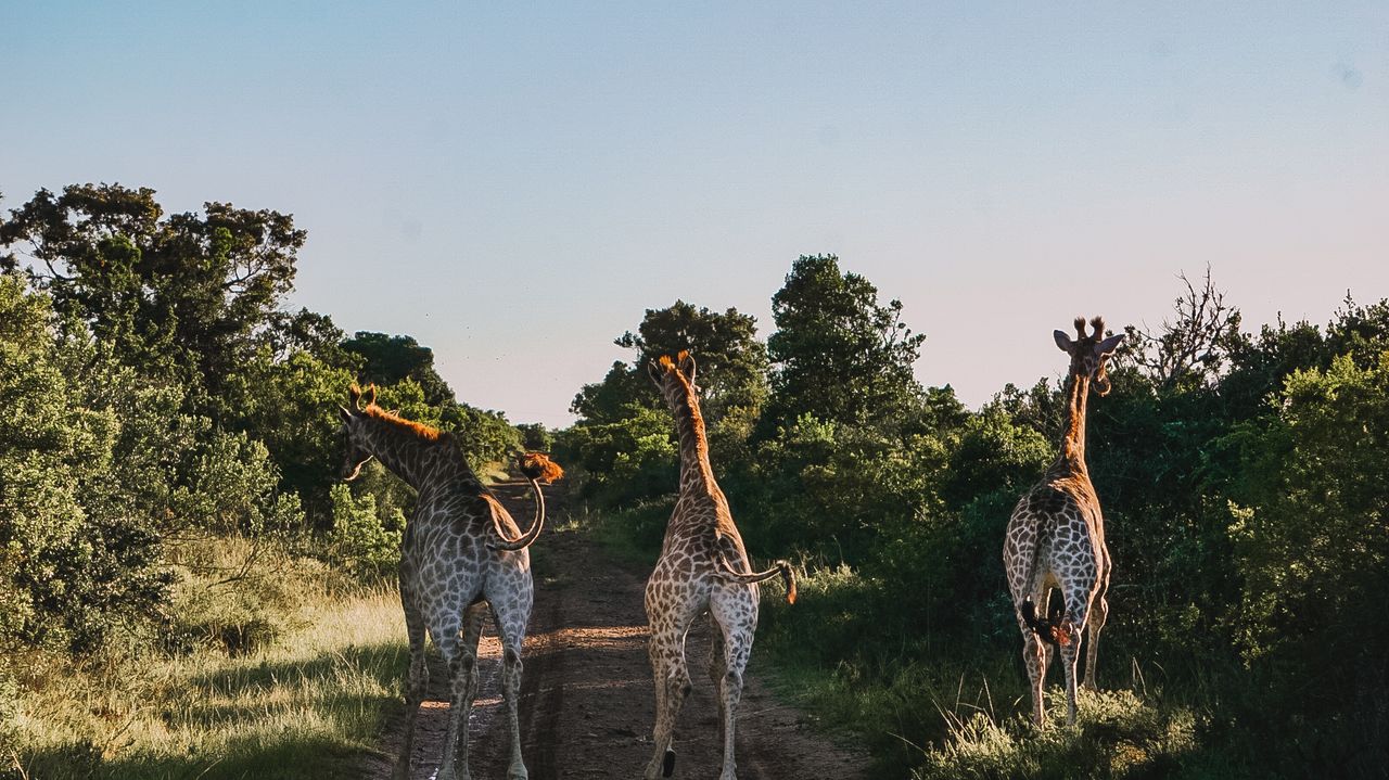 Reisspecialist Iris op studiereis in Zuid-Afrika en de Seychellen