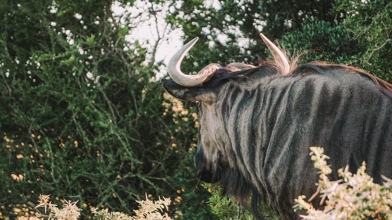 Reisspecialist Iris op studiereis in Zuid-Afrika en de Seychellen