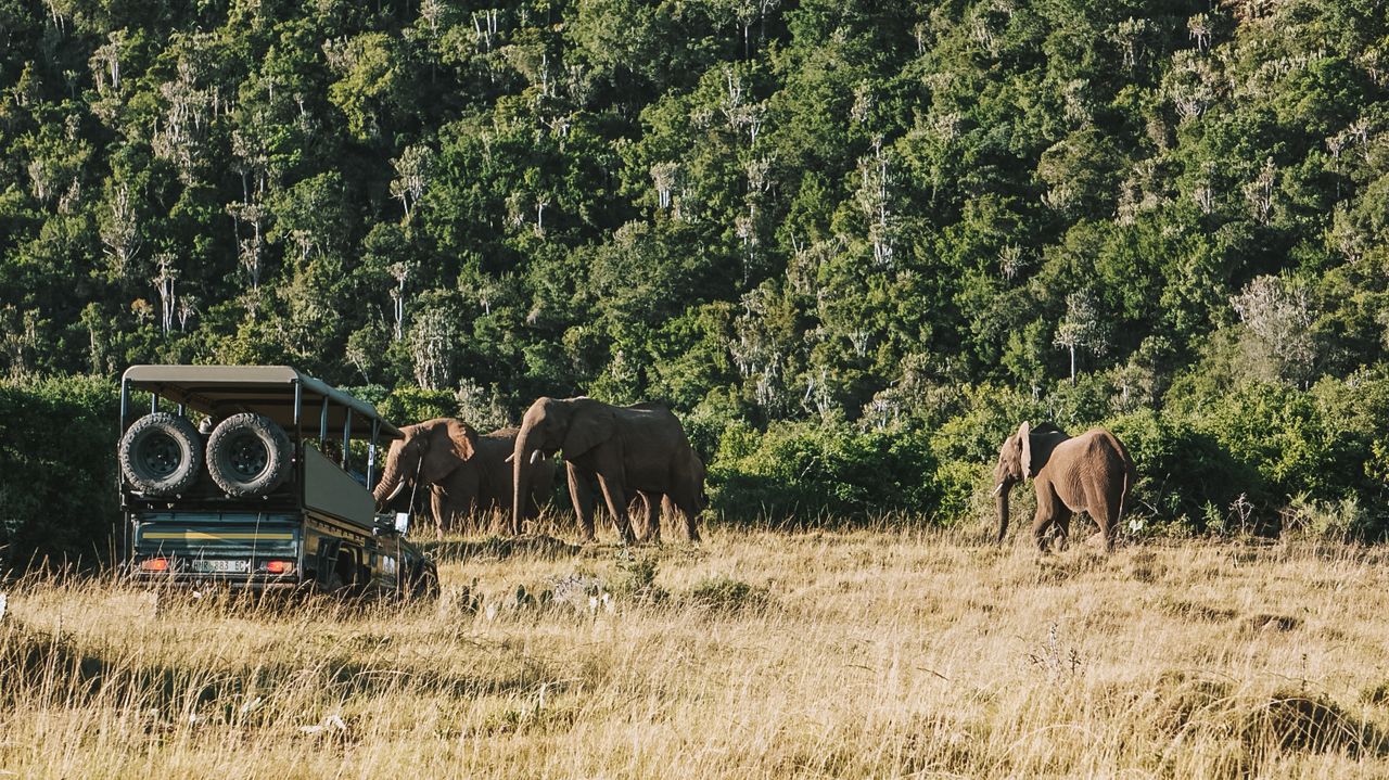 Reisspecialist Iris op studiereis in Zuid-Afrika en de Seychellen