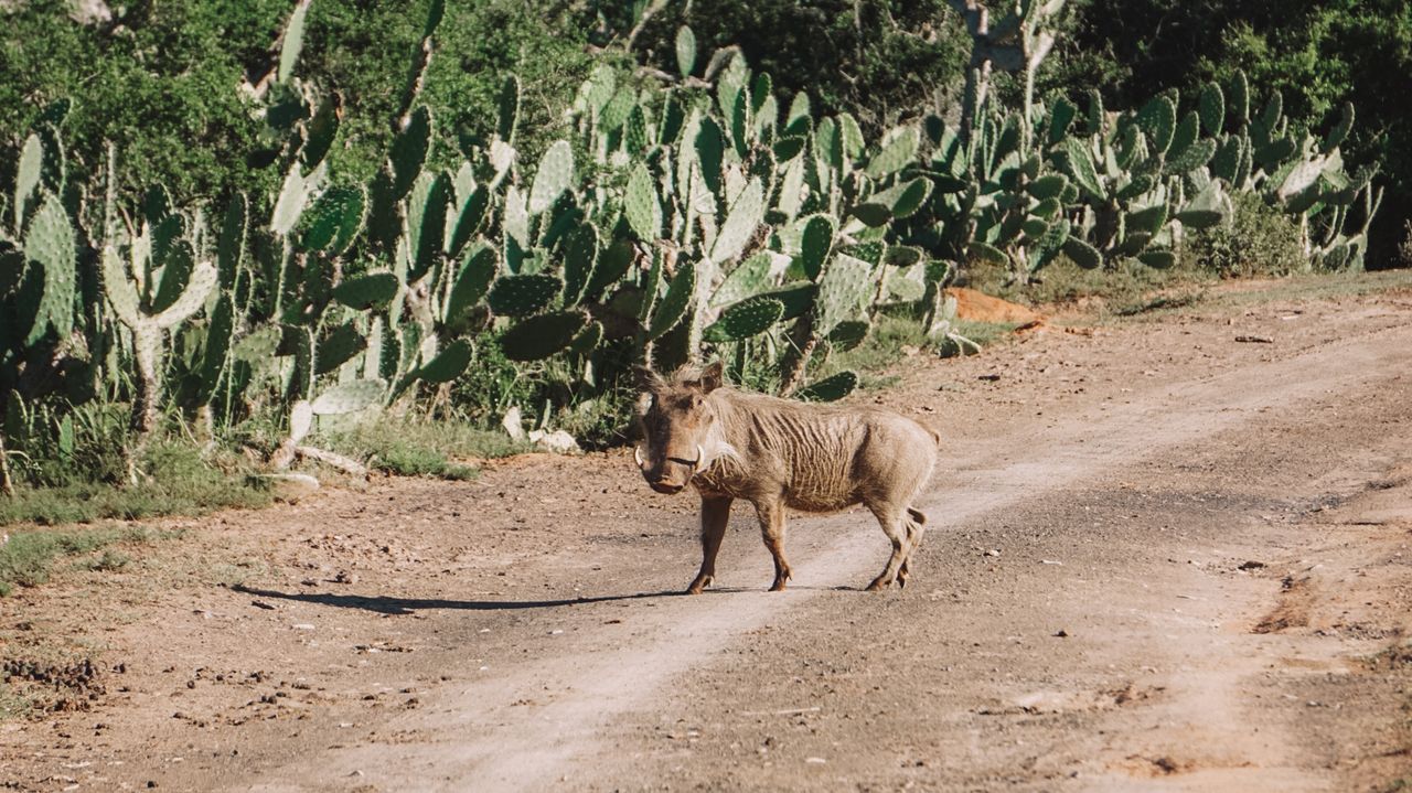 Reisspecialist Iris op studiereis in Zuid-Afrika en de Seychellen