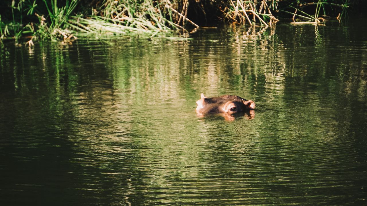 Reisspecialist Iris op studiereis in Zuid-Afrika en de Seychellen