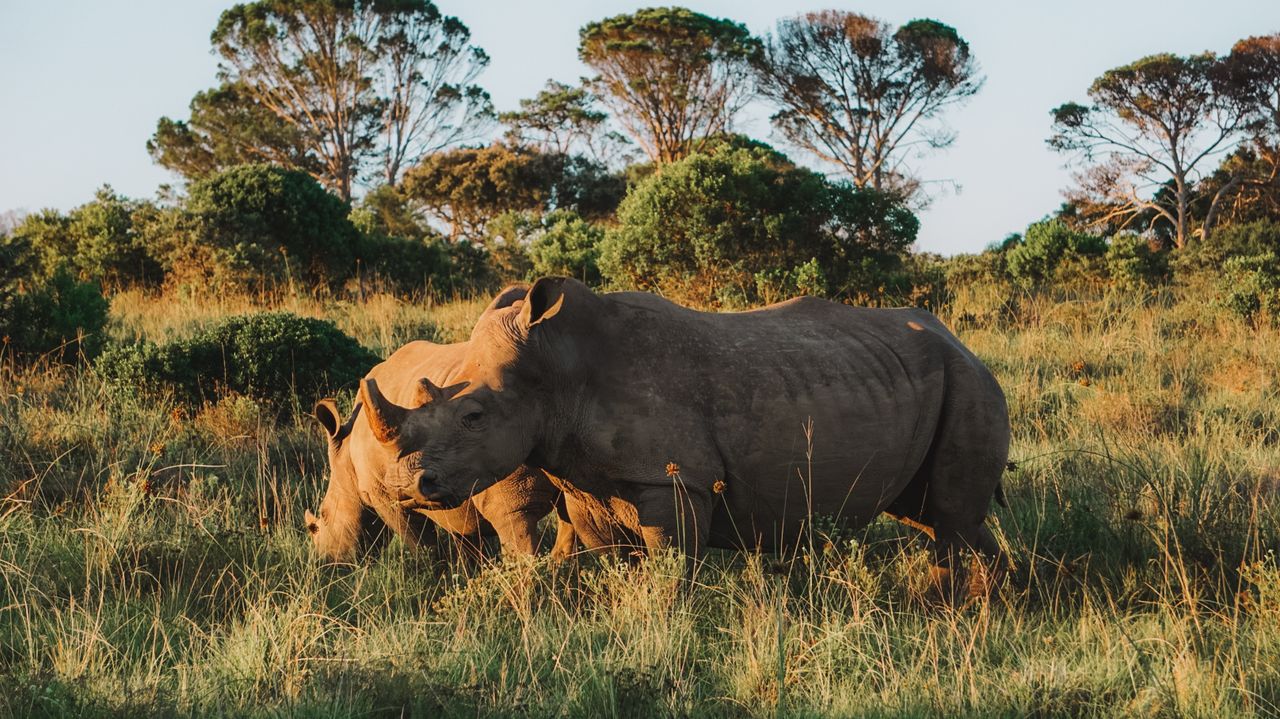 Reisspecialist Iris op studiereis in Zuid-Afrika en de Seychellen