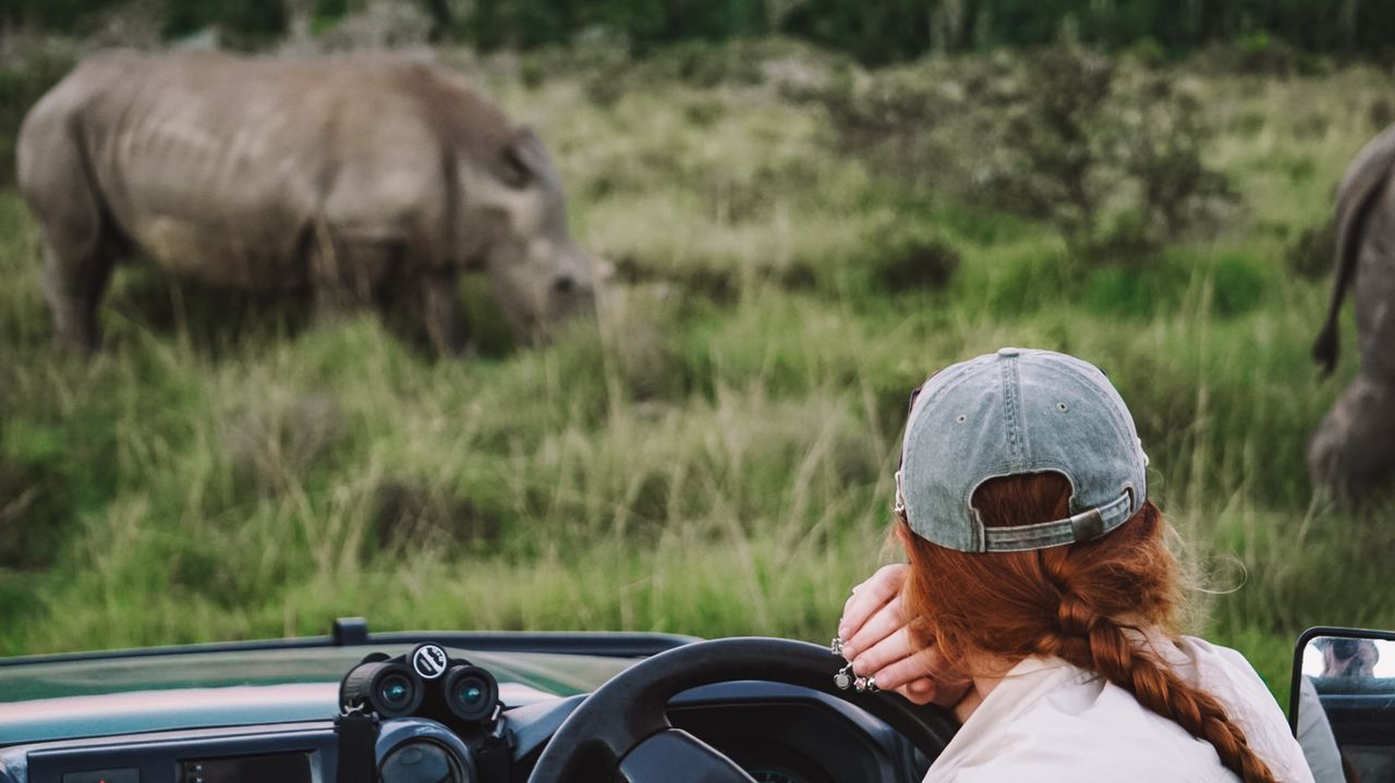 Beste reis Zuid-Afrika