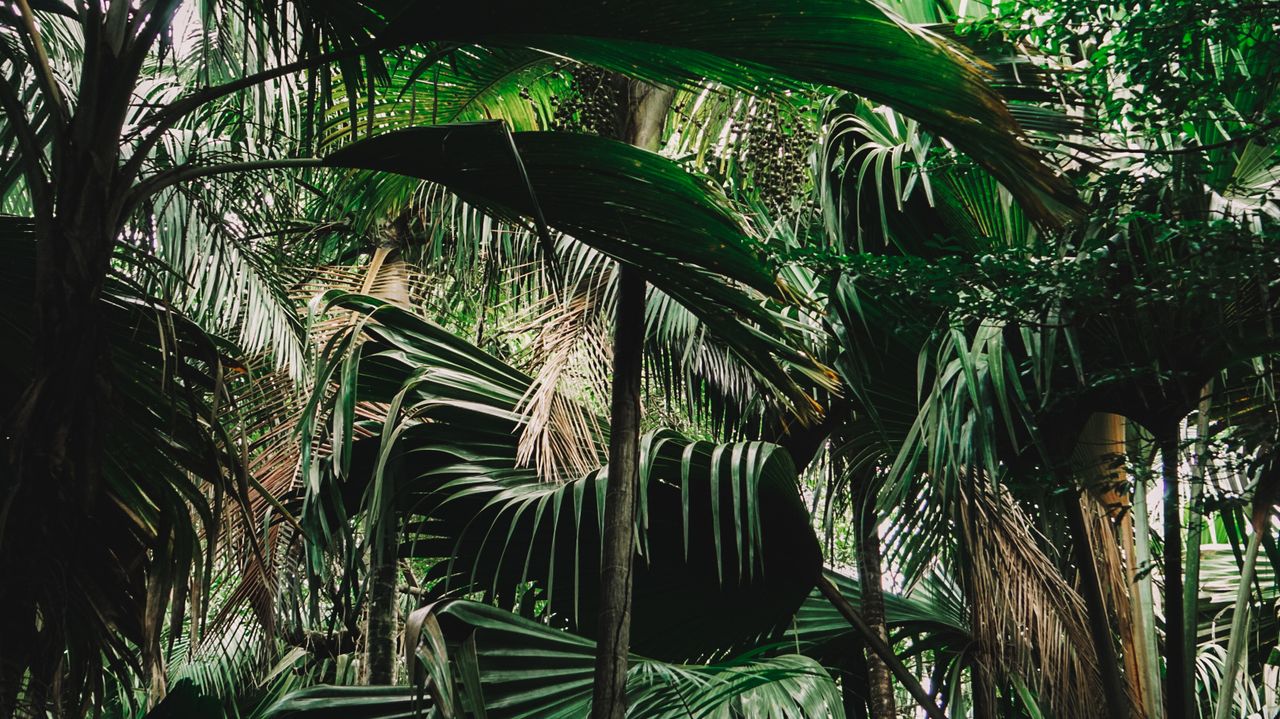 Reisspecialist Iris op studiereis in Zuid-Afrika en de Seychellen