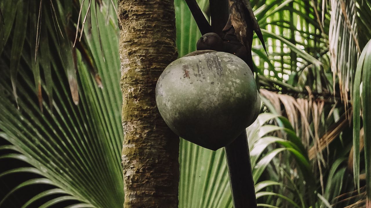 Reisspecialist Iris op studiereis in Zuid-Afrika en de Seychellen