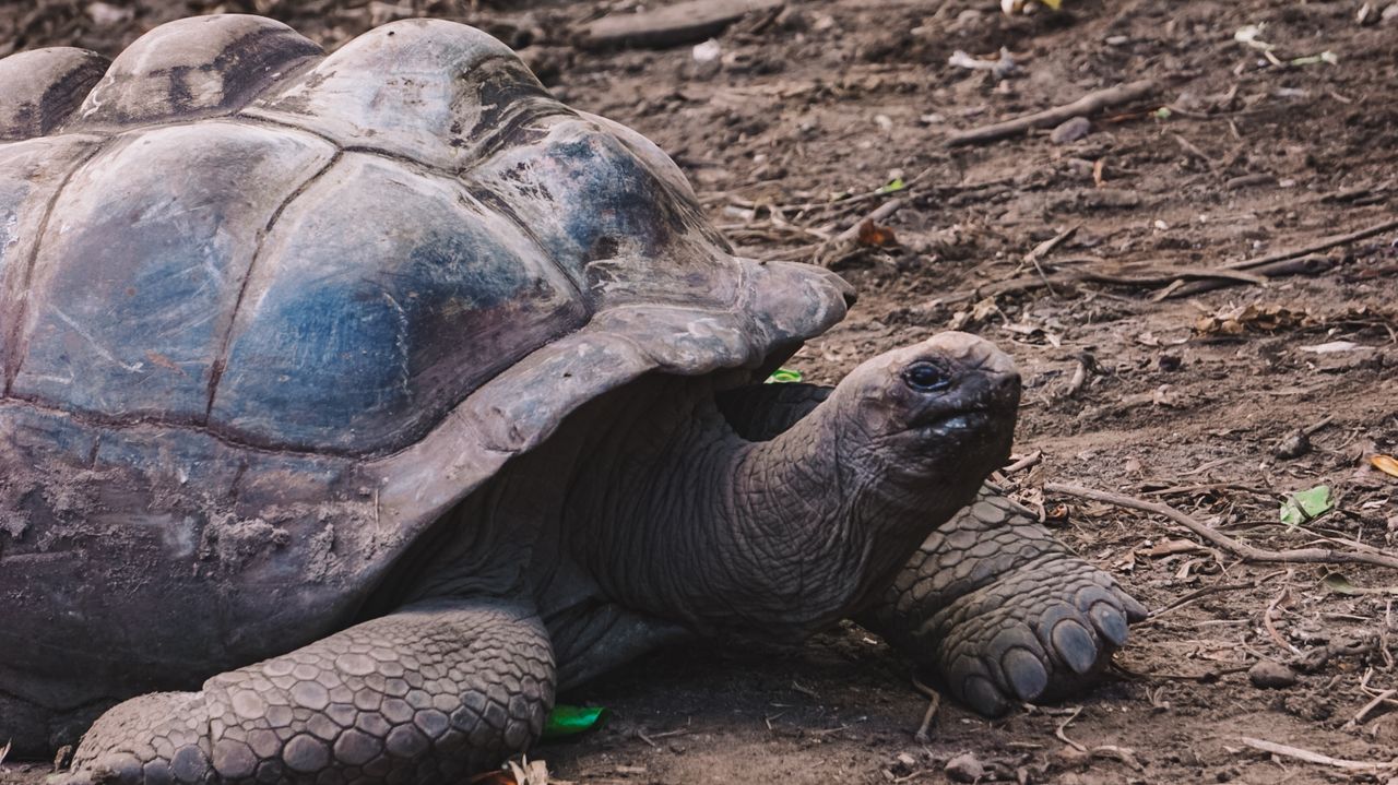 Reisspecialist Iris op studiereis in Zuid-Afrika en de Seychellen