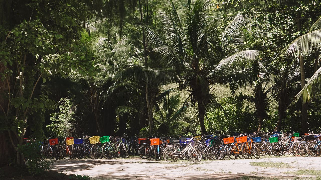 Reisspecialist Iris op studiereis in Zuid-Afrika en de Seychellen