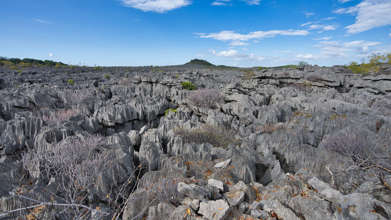 Madagascar excursies en activiteiten - Ankarana Tsingy rotsen