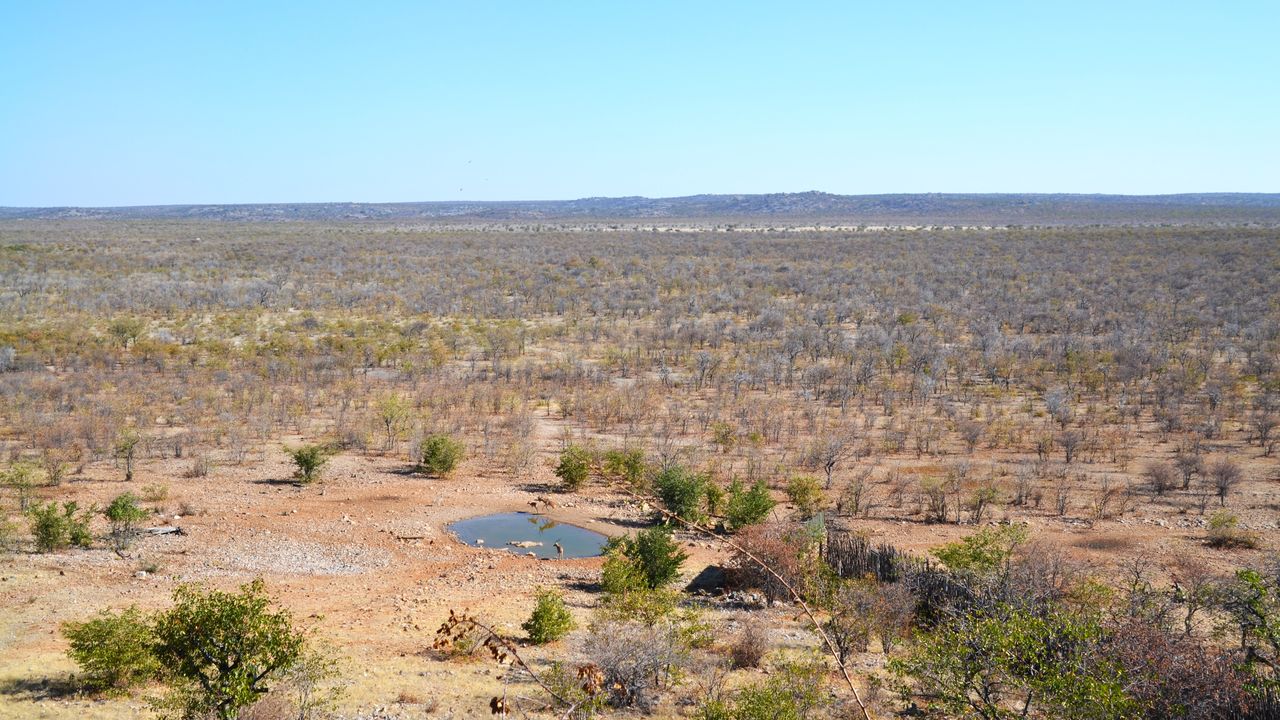 Matoke Tours reisspecialisten op studiereis in Namibië