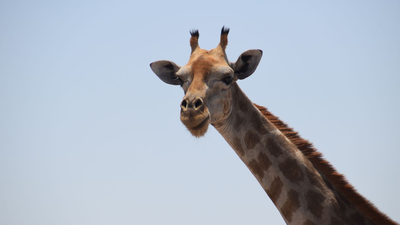 Reisspecialist Celia van Matoke Tours op selfdrive studiereis door Namibië, Botswana en Zimbabwe