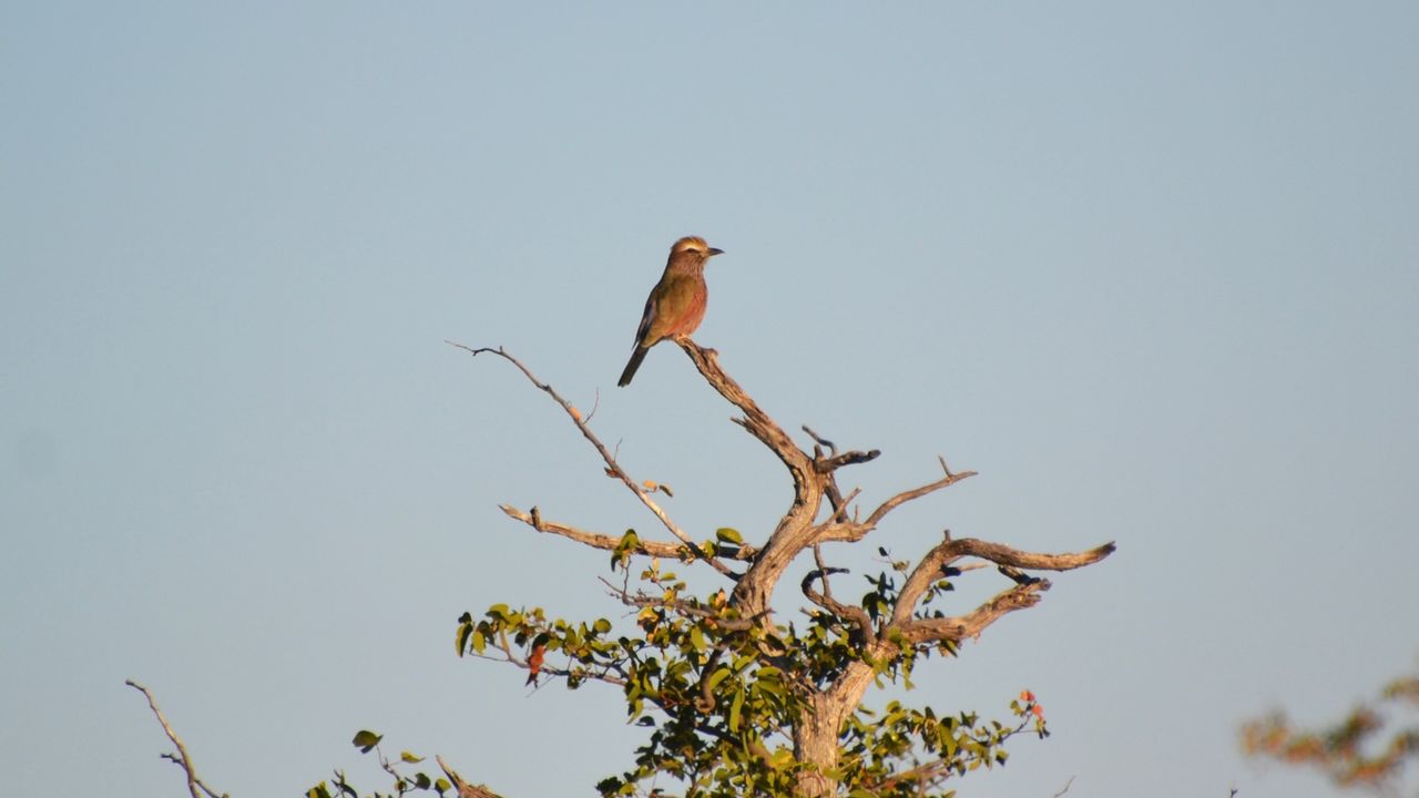 Matoke Tours reisspecialisten op studiereis in Namibië