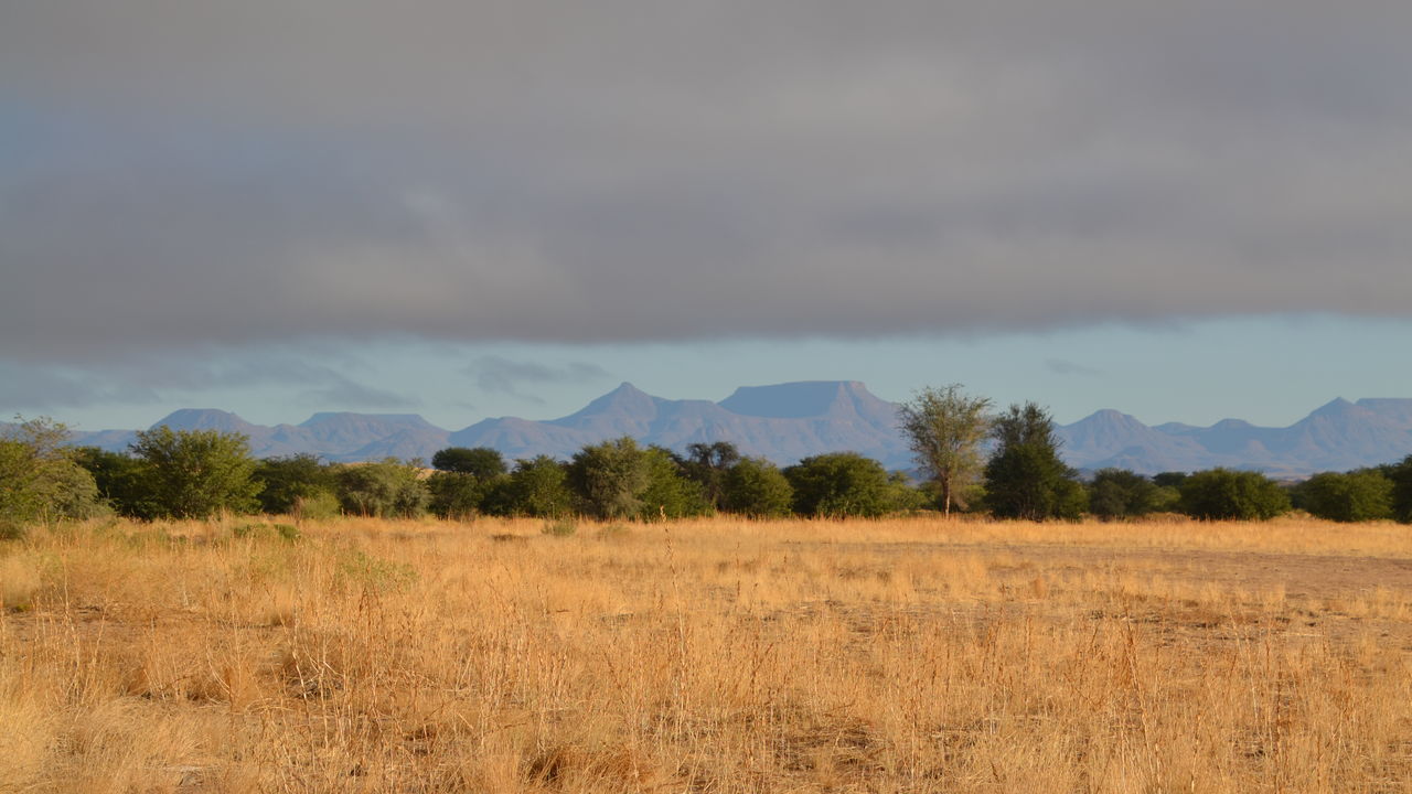 Matoke Tours reisspecialisten op studiereis in Namibië