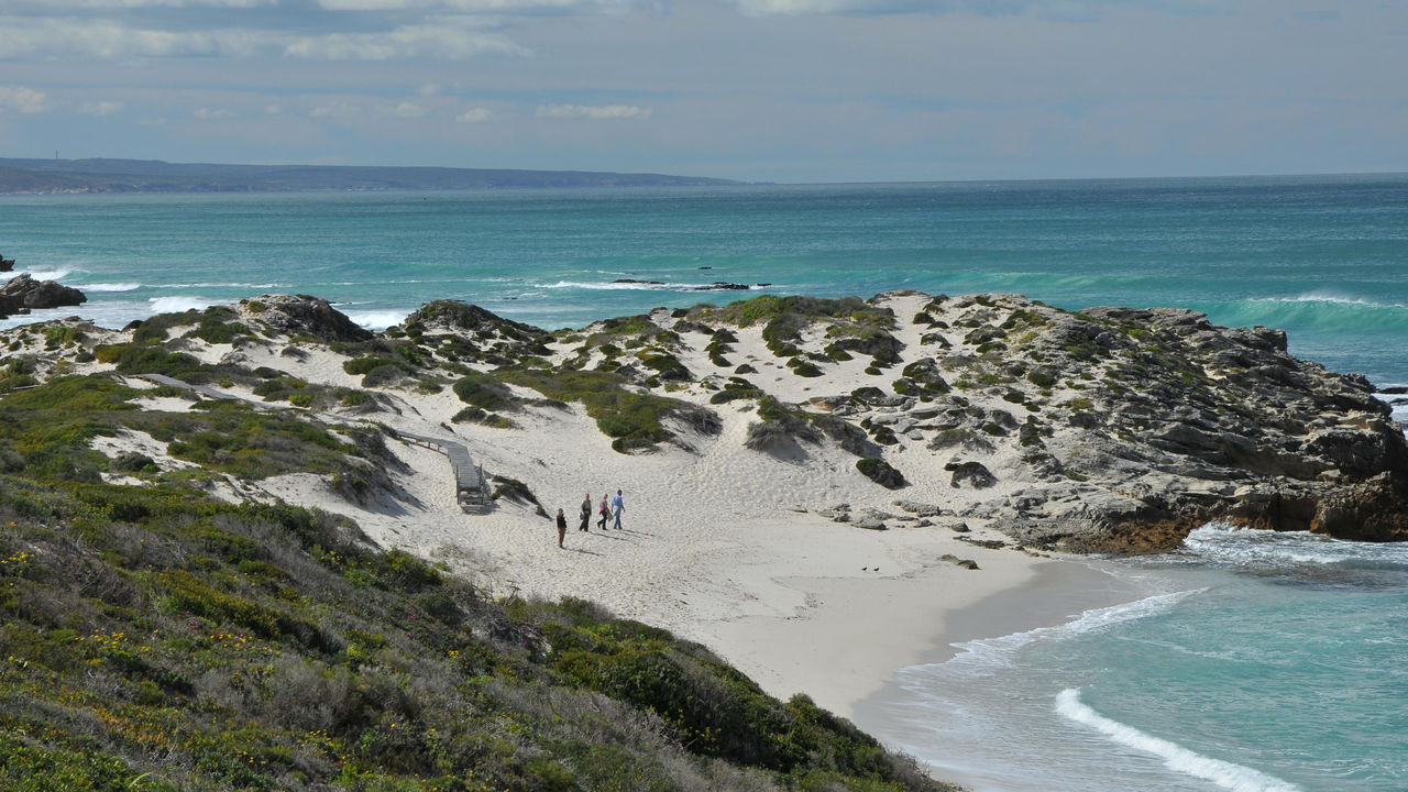 De Hoop - Natuur Reservaat - Zuid-Afrika - Matoke Tours