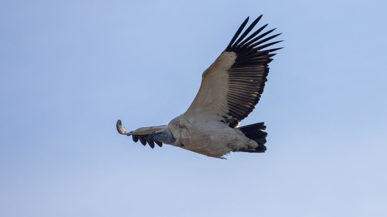 De Hoop - Natuur Reservaat - Zuid-Afrika - Matoke Tours