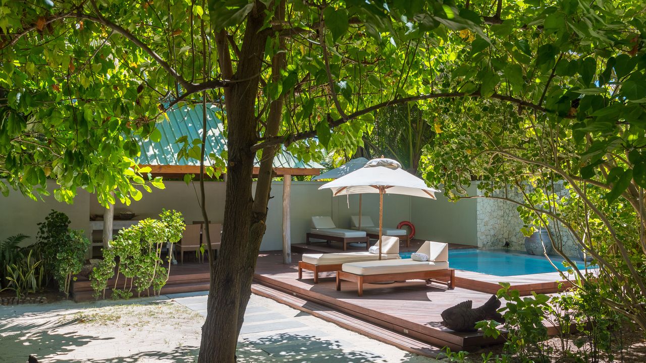 Exclusief op Denis Private Island » Matoke Tours