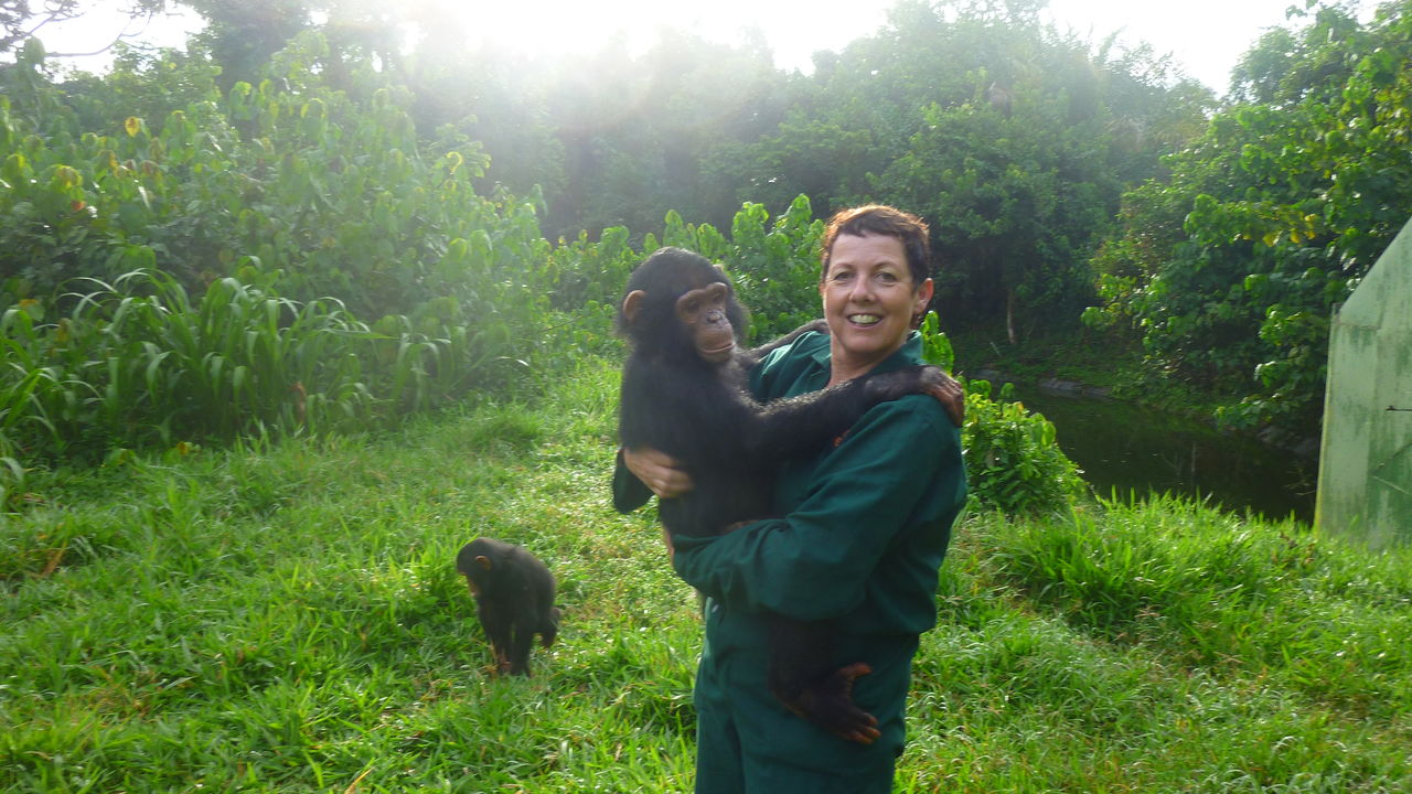 Chimpansees Oeganda - Entebbe Zoo - Uganda Wildlife Education Centre