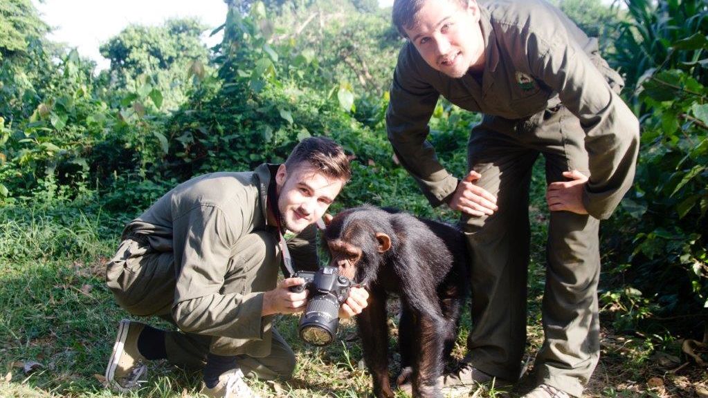 Chimpansees Oeganda - Entebbe Zoo - Uganda Wildlife Education Centre