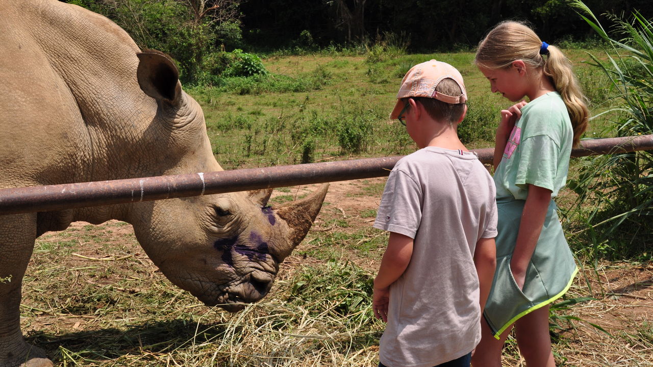 Met gezin op safari naar Oeganda en Zanzibar