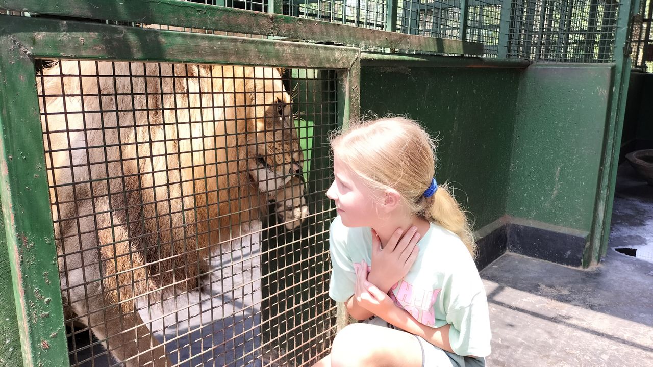 Met gezin op safari naar Oeganda en Zanzibar