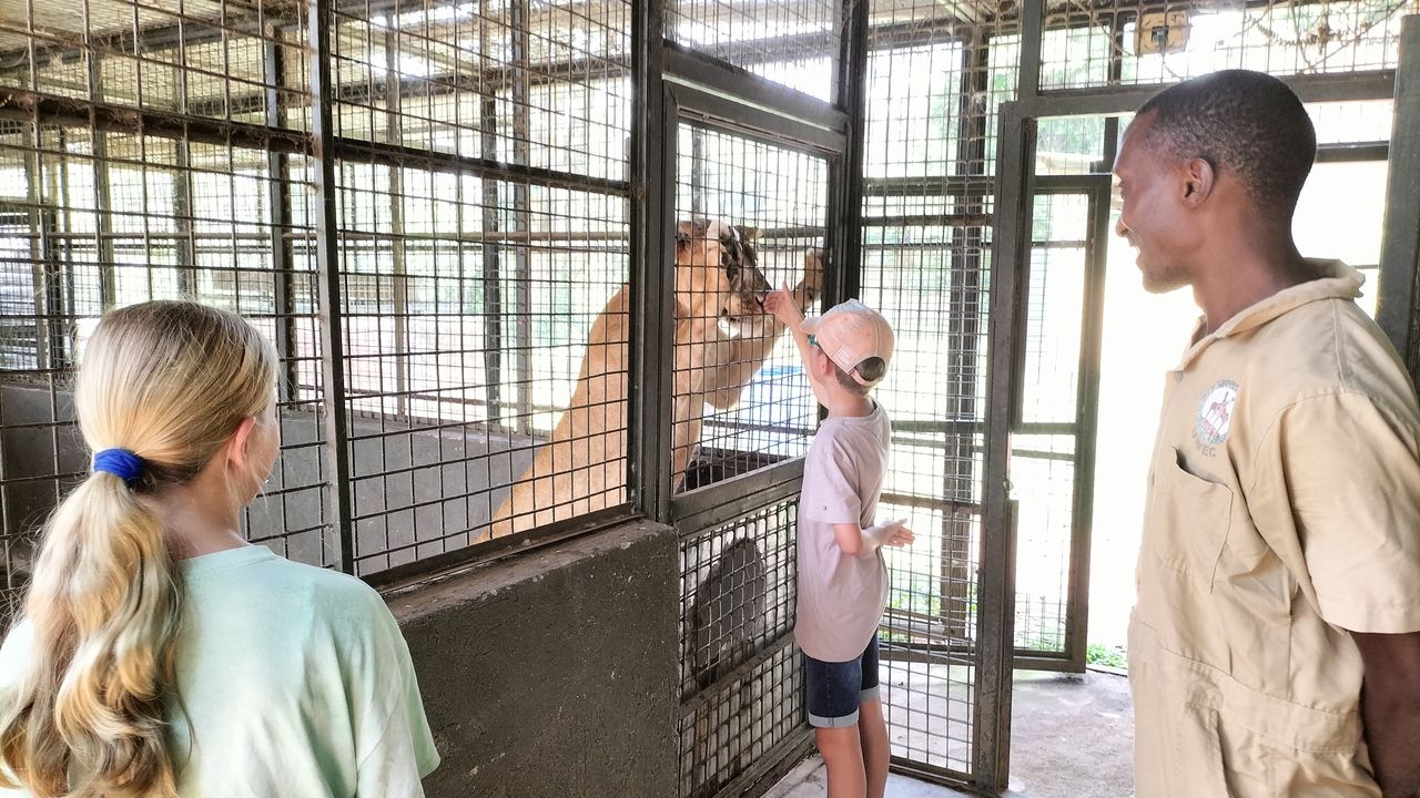 Met gezin op safari naar Oeganda en Zanzibar