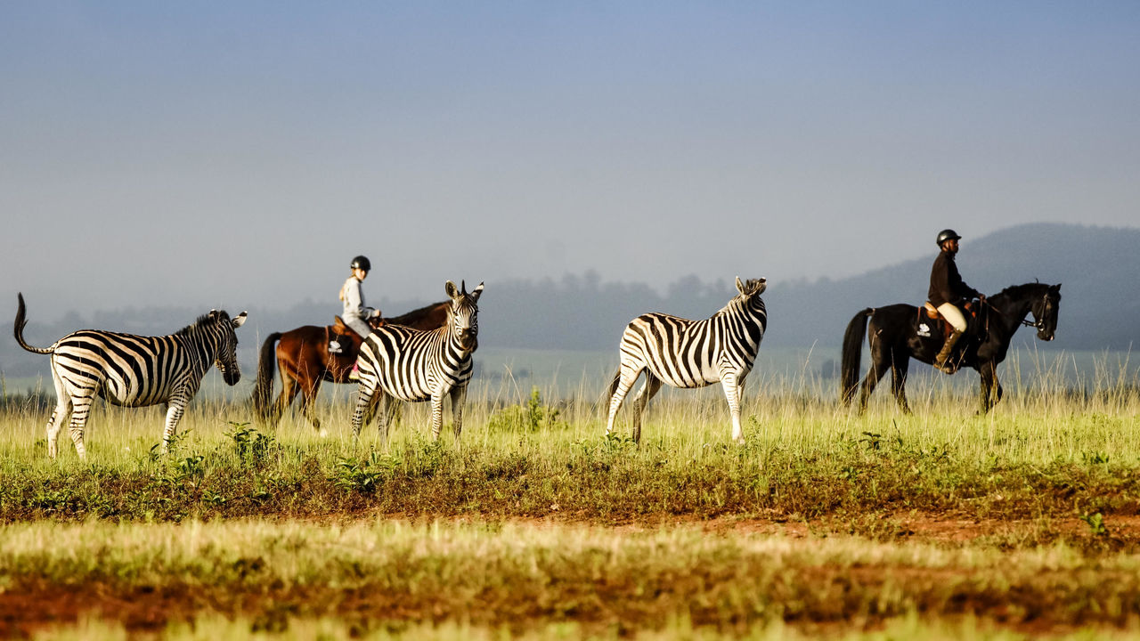 Eswatini - voormalig Swaziland - Zuid - Afrika - Matoke Tours