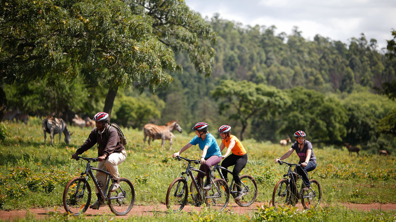 Eswatini - voormalig Swaziland - Zuid - Afrika - Matoke Tours