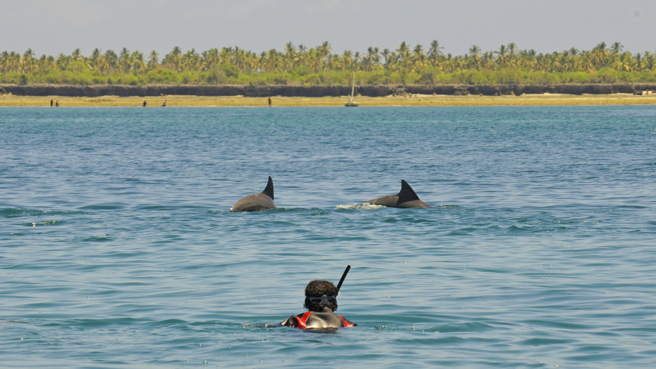 Fanjove Island | onbewoond eiland bij Tanzania | Matoke Tours