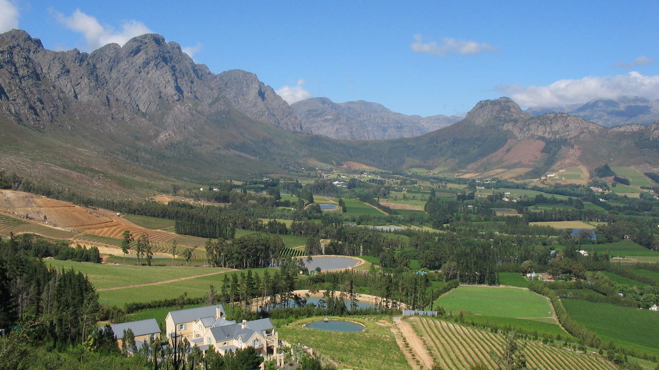 Kaapse Wijnlanden - Cape Winelands - Zuid-Afrika - Matoke Tours