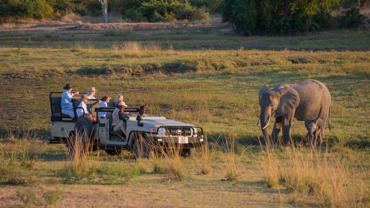 Safari met kinderen - Matoke Tours familiereizen in Afrika