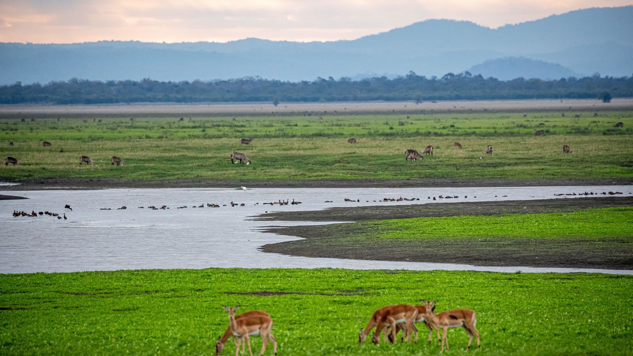 Vakantie Mozambique en rondreis | uit liefde voor Afrika | Matoke Tours