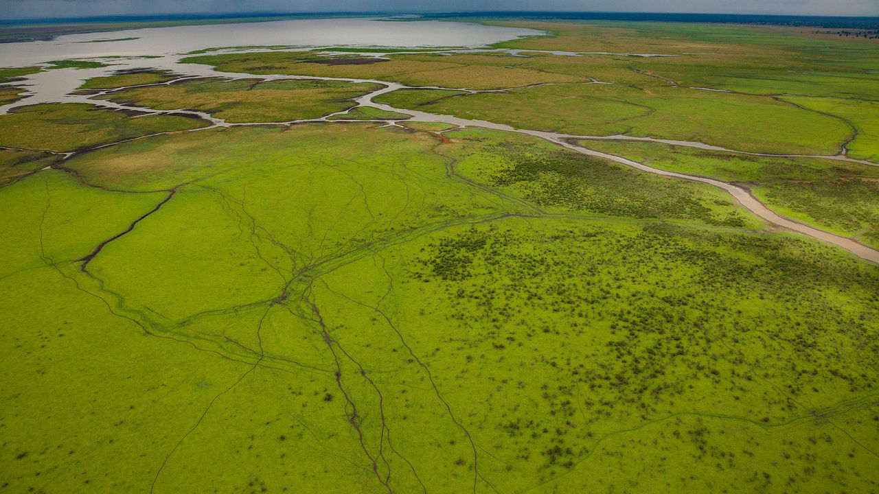 Gorongosa National Park | Safari in Mozambique | Matoke Tours