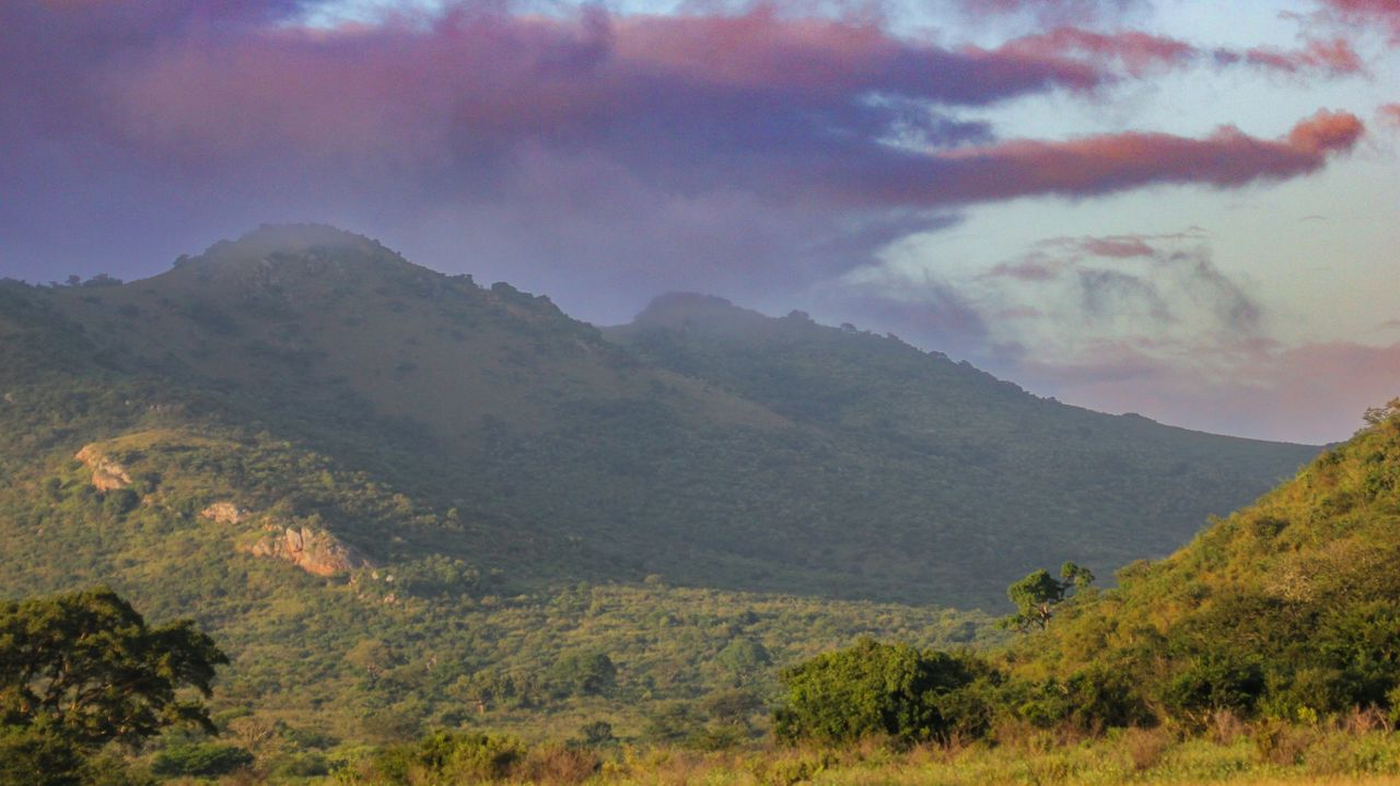 Hluhluwe-iMfolozi wildreservaat | Matoke Tours