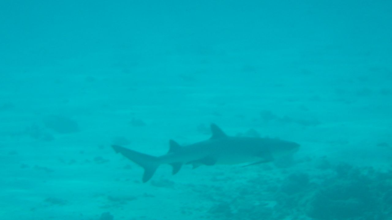 Michele en Marielle van Matoke Tours op studiereis naar de Seychellen