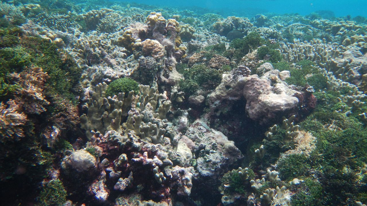Michele en Marielle van Matoke Tours op studiereis naar de Seychellen