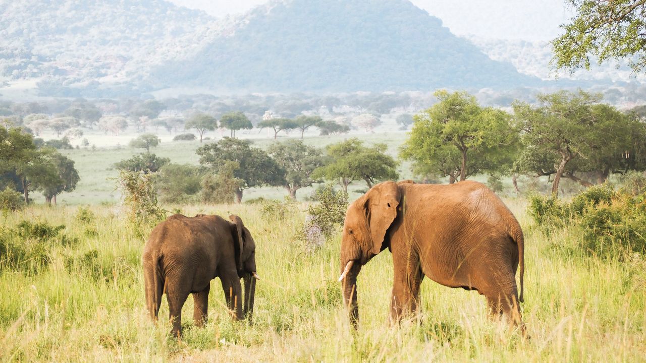 Reisspecialist Celia van Matoke Tours op studiereis door noordoost Oeganda