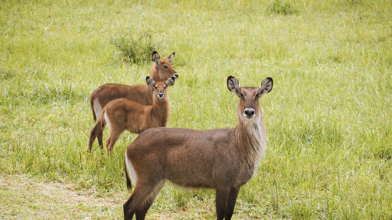 Reisspecialist Celia van Matoke Tours op studiereis door noordoost Oeganda