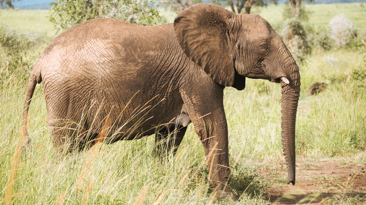Reisspecialist Celia van Matoke Tours op studiereis door noordoost Oeganda