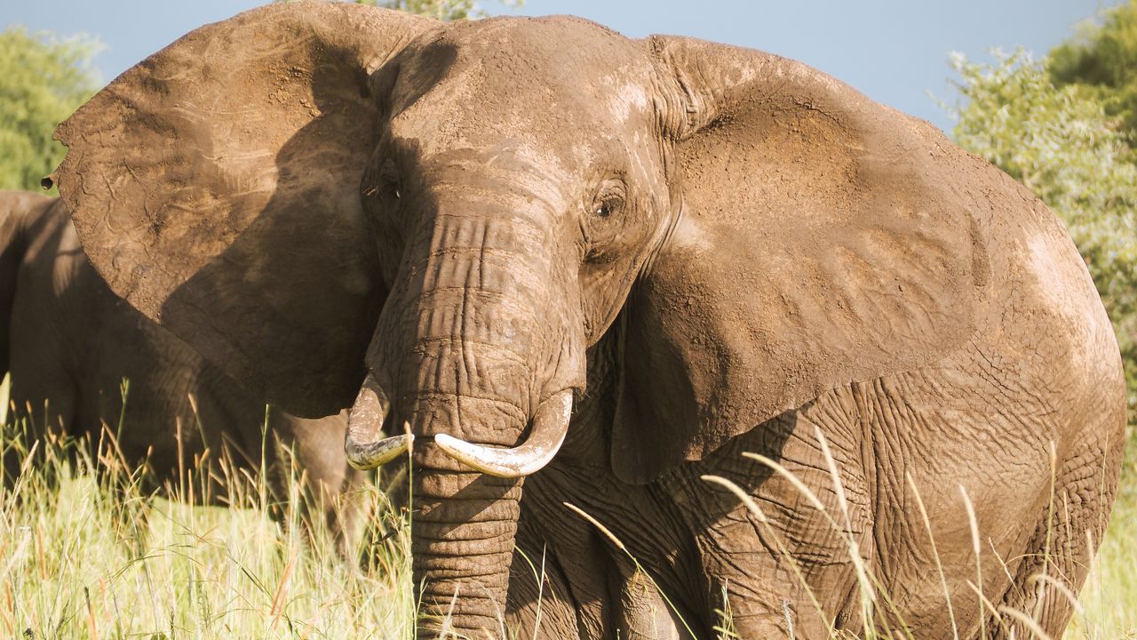 Reisspecialist Celia van Matoke Tours op studiereis door noordoost Oeganda