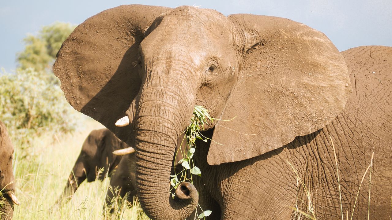 Reisspecialist Celia van Matoke Tours op studiereis door noordoost Oeganda