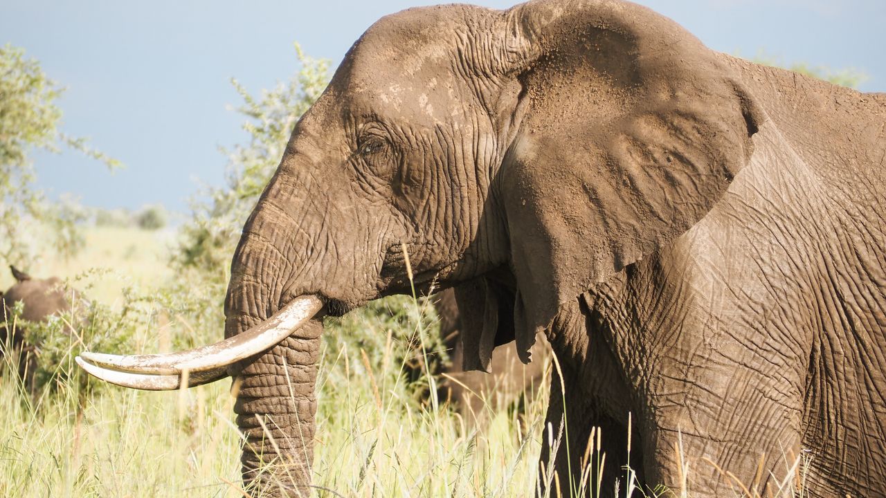 Reisspecialist Celia van Matoke Tours op studiereis door noordoost Oeganda
