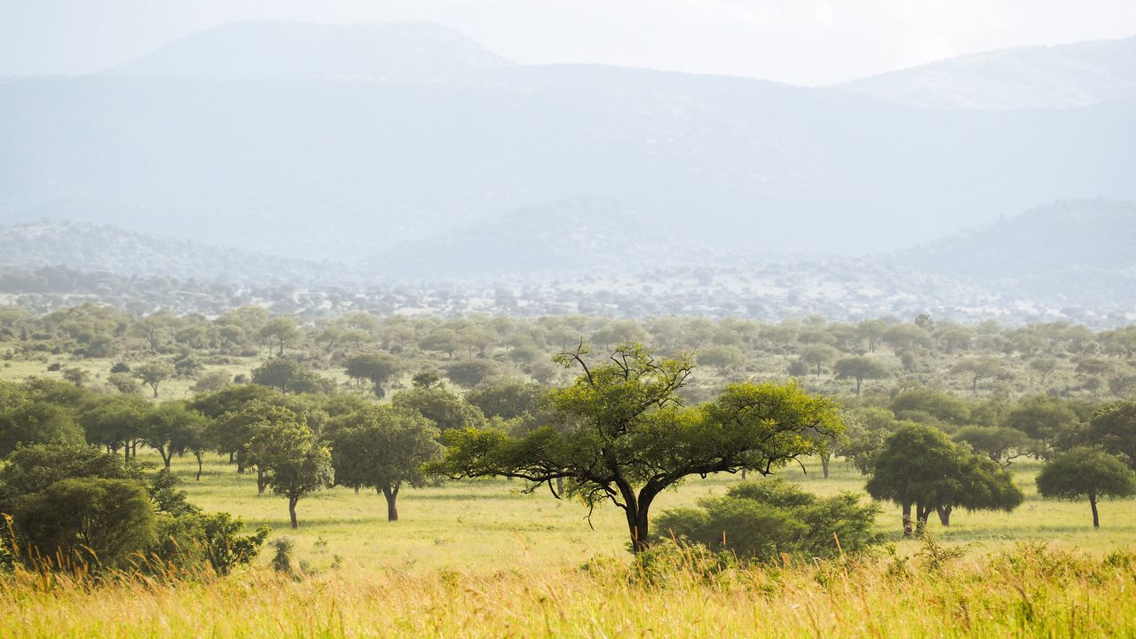 Reisspecialist Celia van Matoke Tours op studiereis door noordoost Oeganda