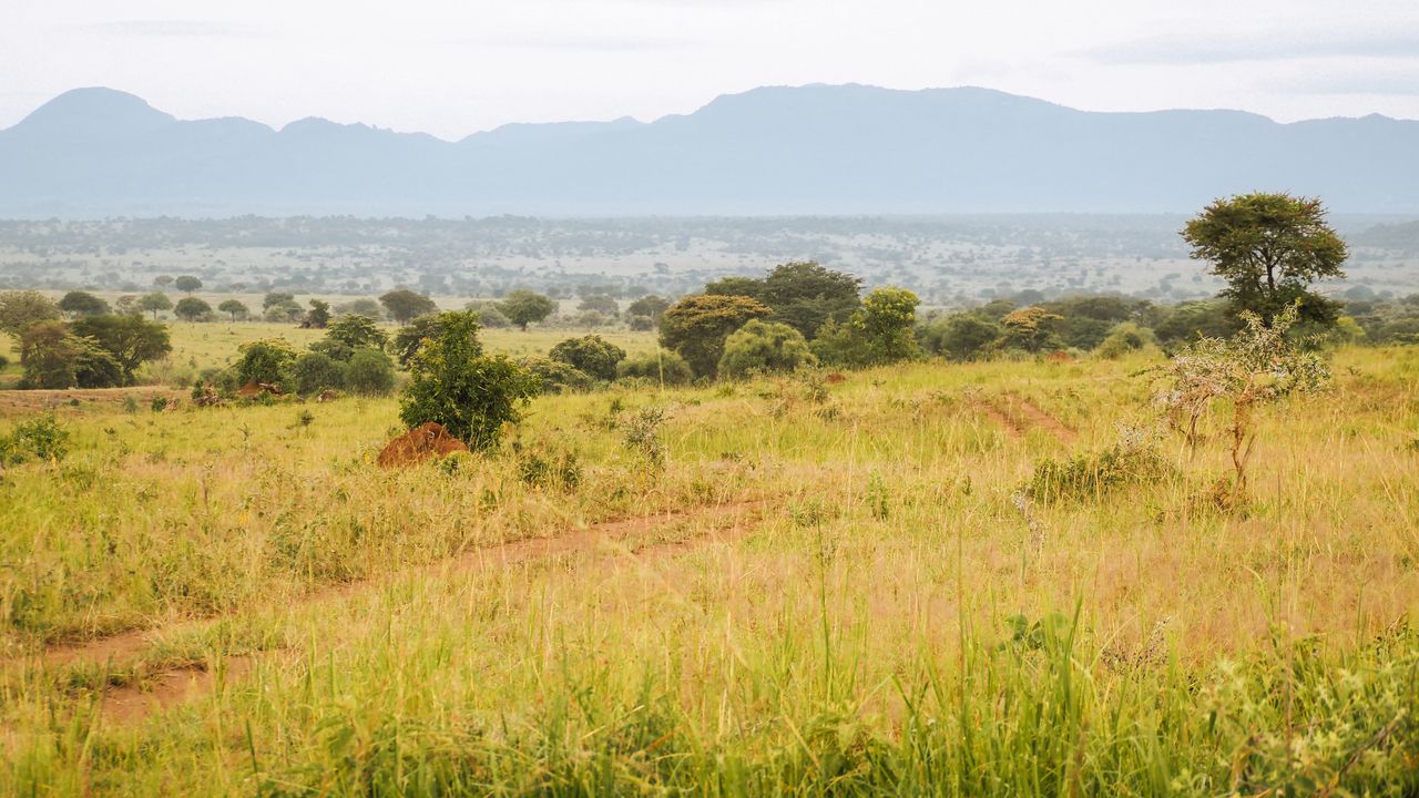 Reisspecialist Celia van Matoke Tours op studiereis door noordoost Oeganda