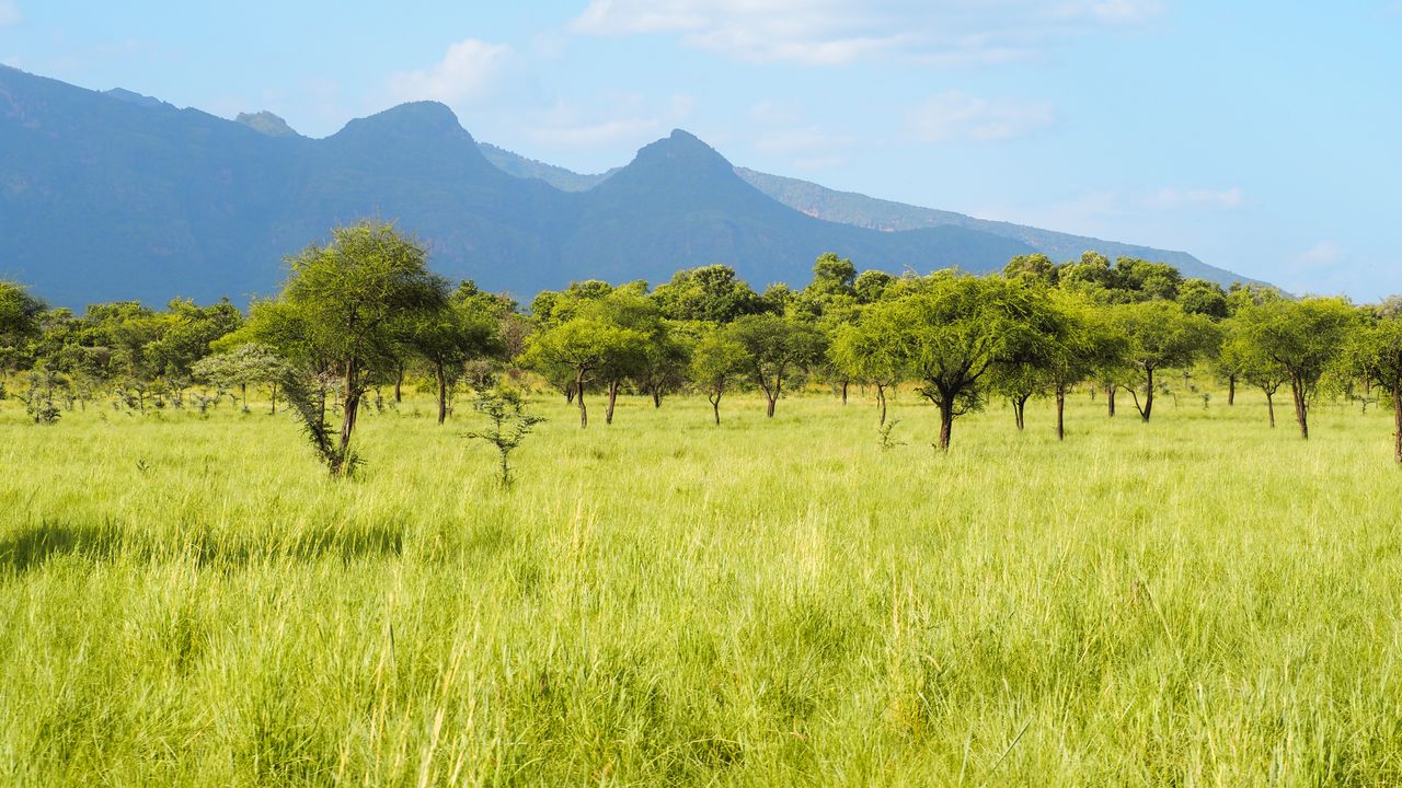 Reisspecialist Celia van Matoke Tours op studiereis door noordoost Oeganda
