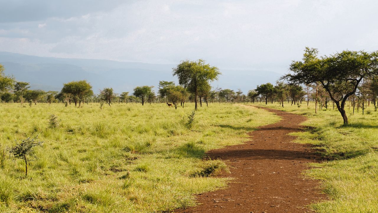 Reisspecialist Celia van Matoke Tours op studiereis door noordoost Oeganda